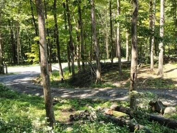 786 Route 41, Cairo, NY 12413