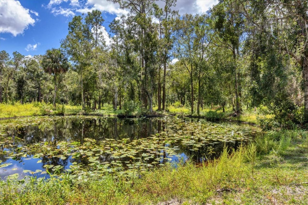 18155 Sr 62, Parrish, FL 34219 Photo