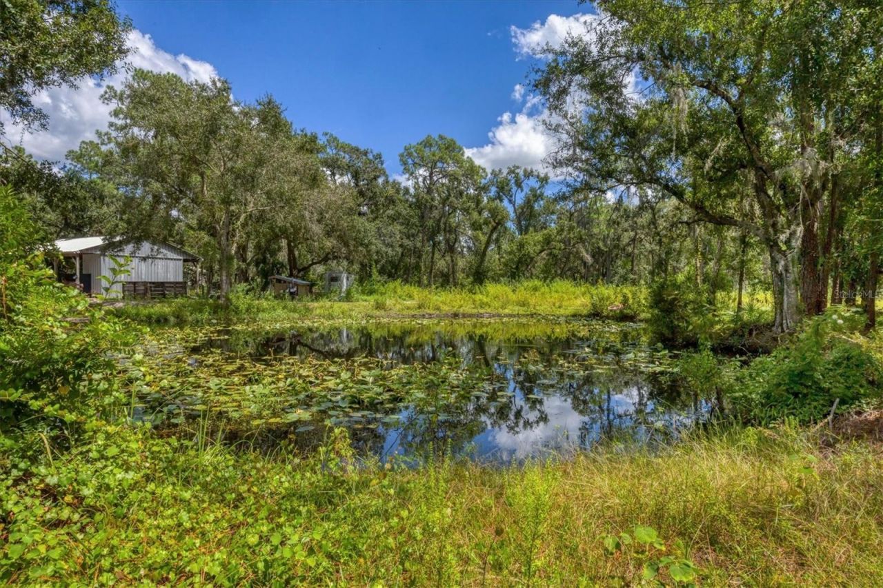 18155 Sr 62, Parrish, FL 34219 Photo