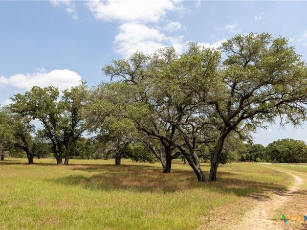 2901 Mule Creek Road, Harwood, TX 78632