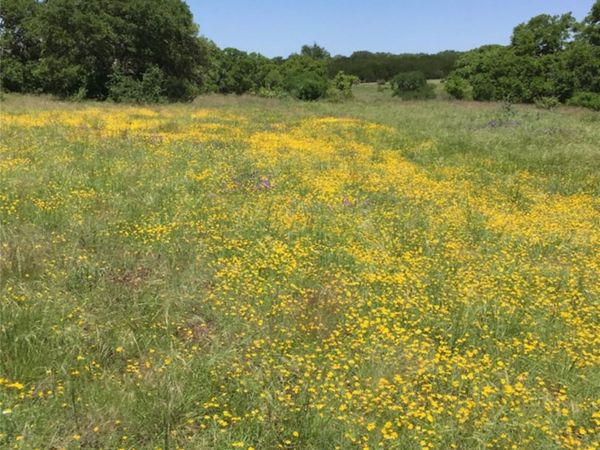 184 Moondance TRL, Wimberley, TX 78676