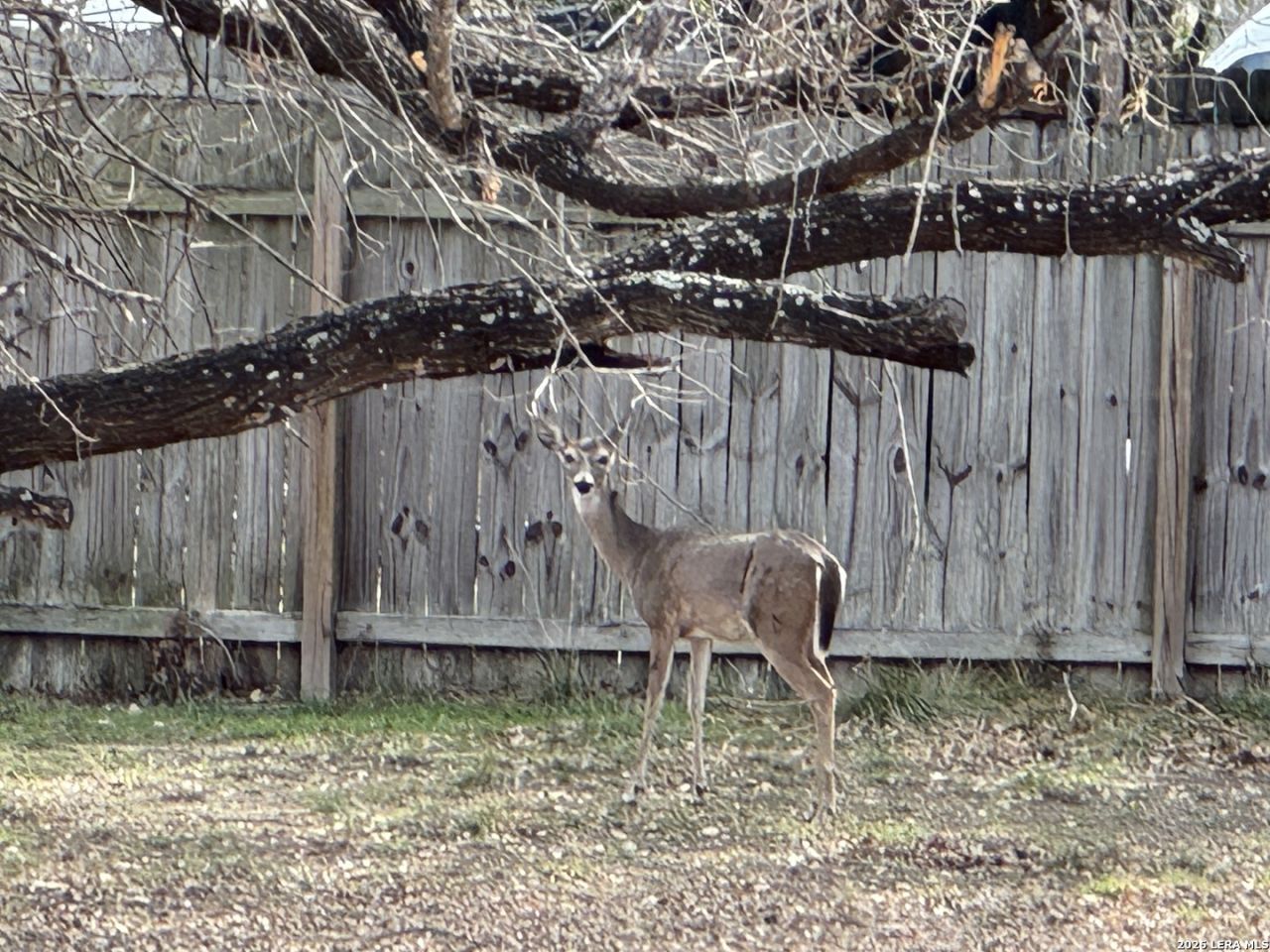 7316 Linkmeadow, San Antonio, TX 78240 Main Photo