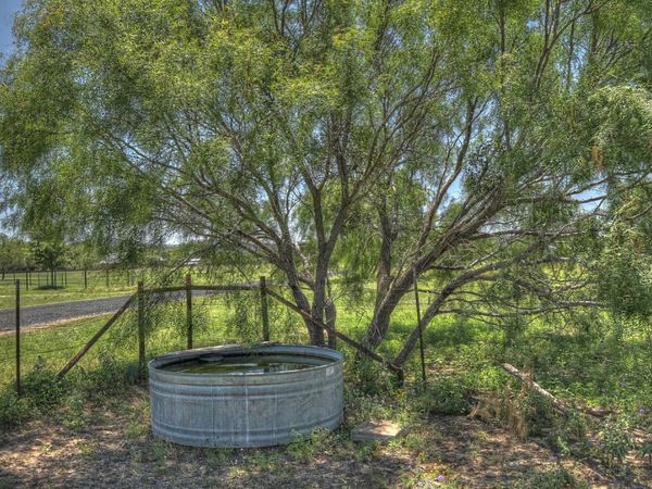 319 river tree, Leakey, TX 78873