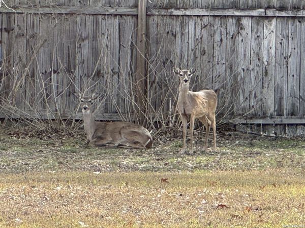 7312 Linkmeadow, San Antonio, TX 78240