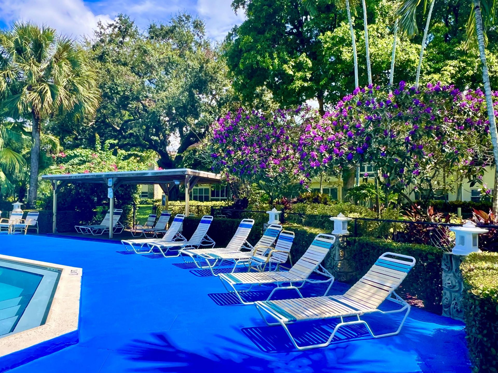 5121 W Oakland Park Boulevard, Unit 311, Lauderdale Lakes, FL 33313 Photo