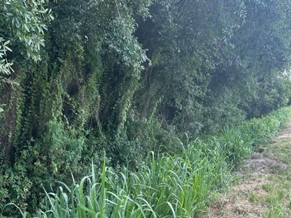 0 NE 13th Avenue, Okeechobee, FL 34972