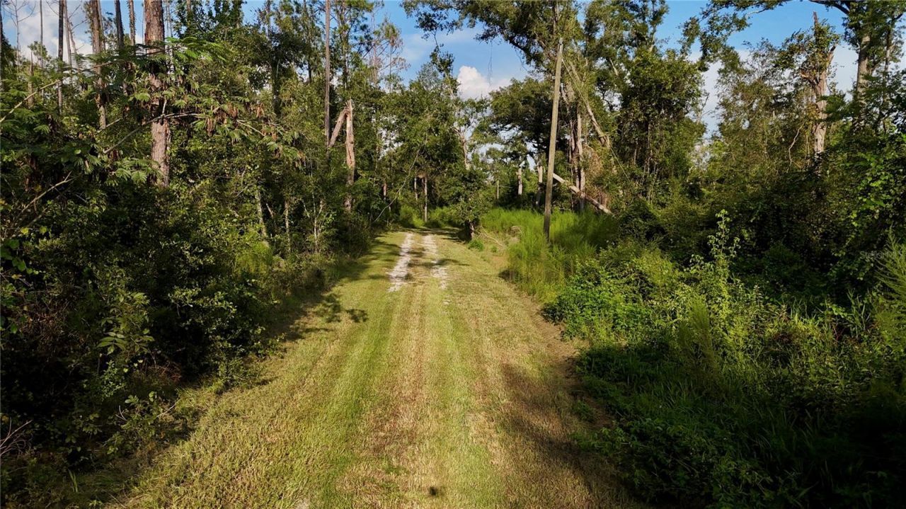 4008 SW 77th Boulevard, Jasper, FL 32052 Photo