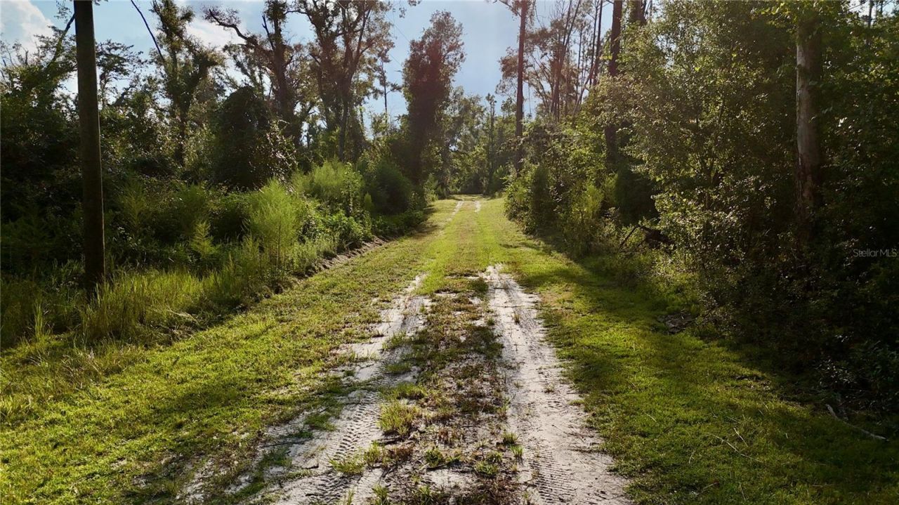 4008 SW 77th Boulevard, Jasper, FL 32052 Photo