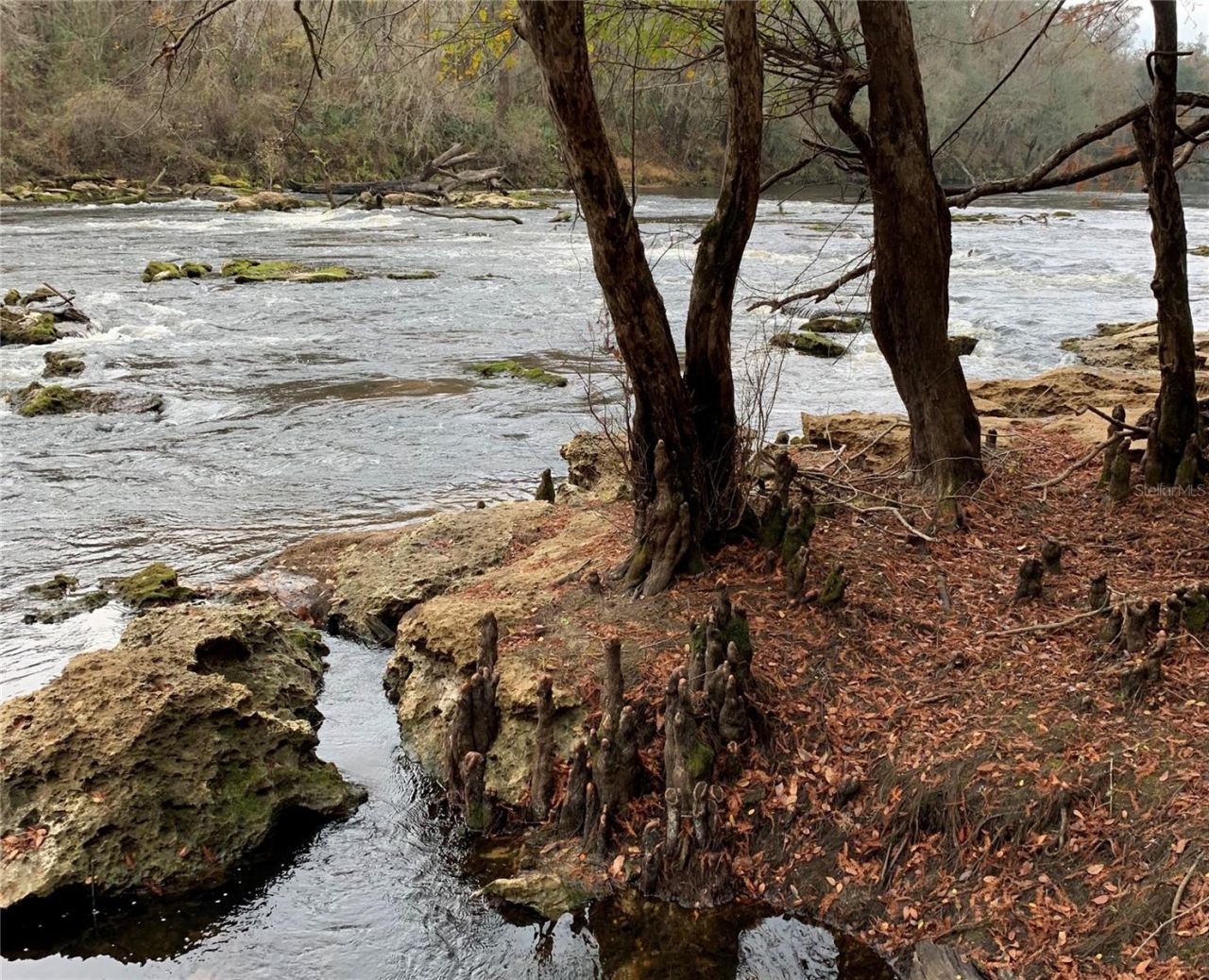 4008 SW 77th Boulevard, Jasper, FL 32052 Photo