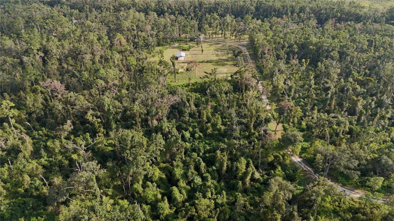 4008 SW 77th Boulevard, Jasper, FL 32052 Photo