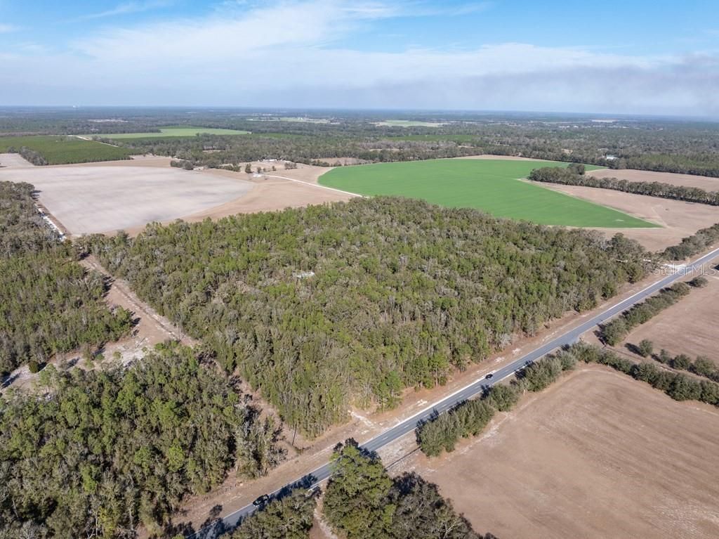 4700 NW County Road 340, Bell, FL 32619 Photo