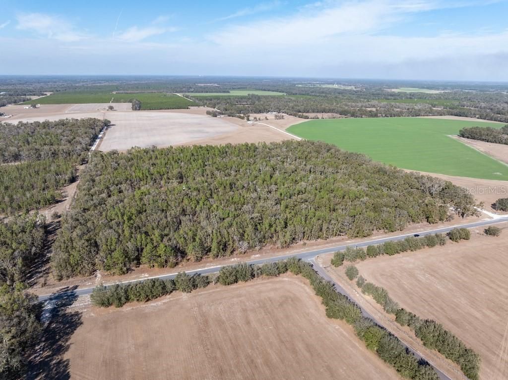 4700 NW County Road 340, Bell, FL 32619 Photo