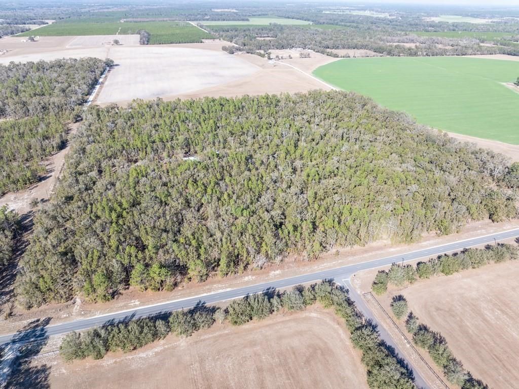 4700 NW County Road 340, Bell, FL 32619 Photo