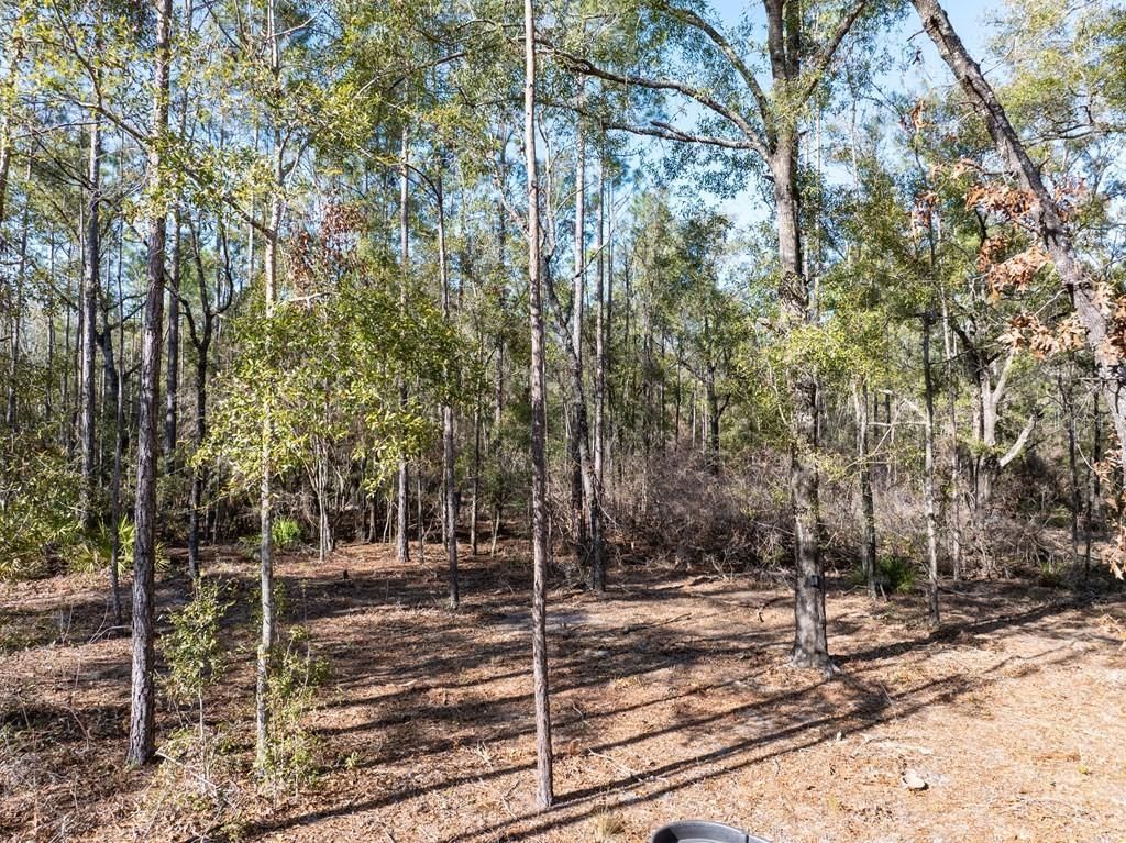 4700 NW County Road 340, Bell, FL 32619 Photo