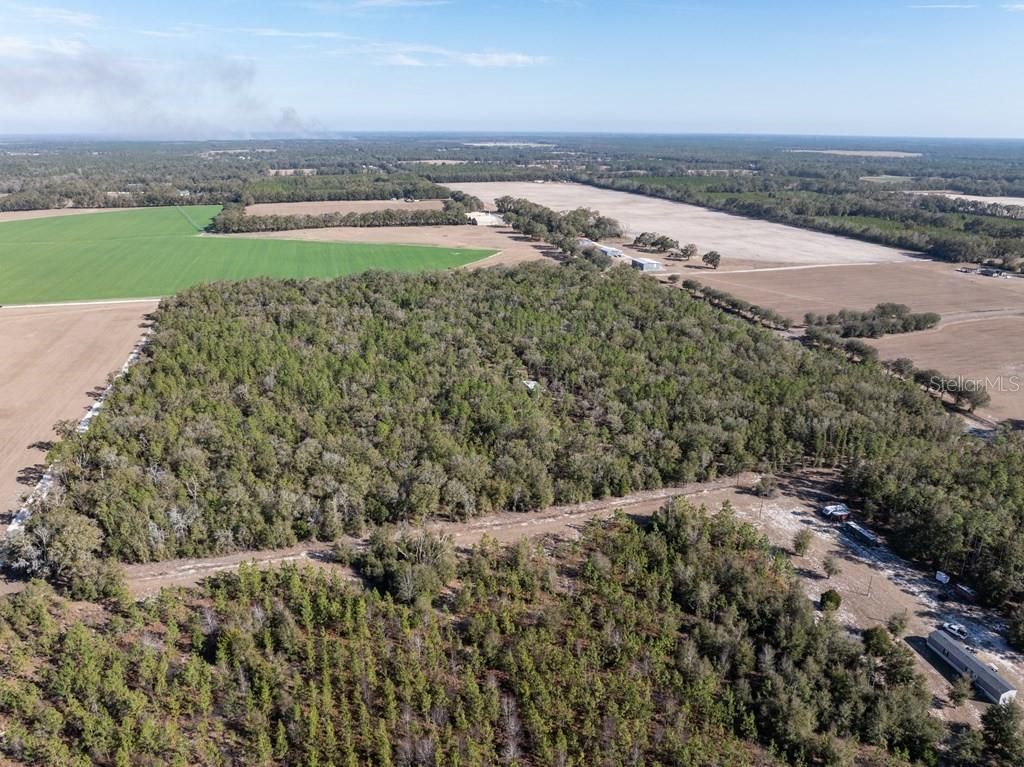 4700 NW County Road 340, Bell, FL 32619 Photo