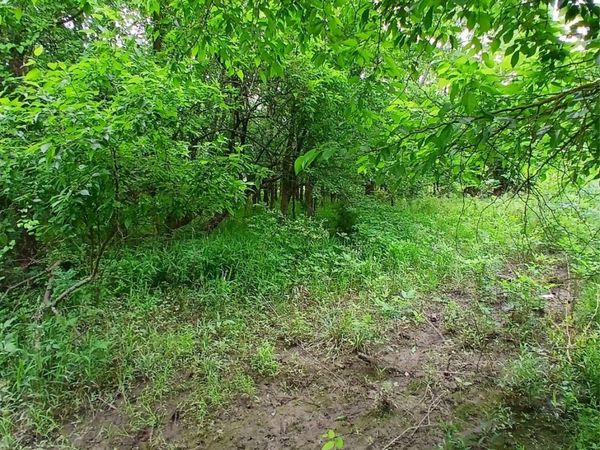 Lynn Lane, Eufaula, OK 74432