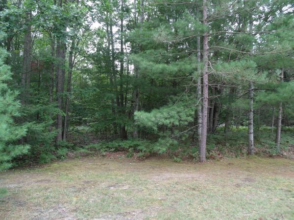 Longfellow Drive, Cheboygan, MI 49721