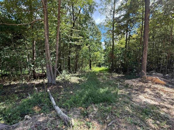 Lot 5 Brooklyn Way, Moatsville, WV 26405