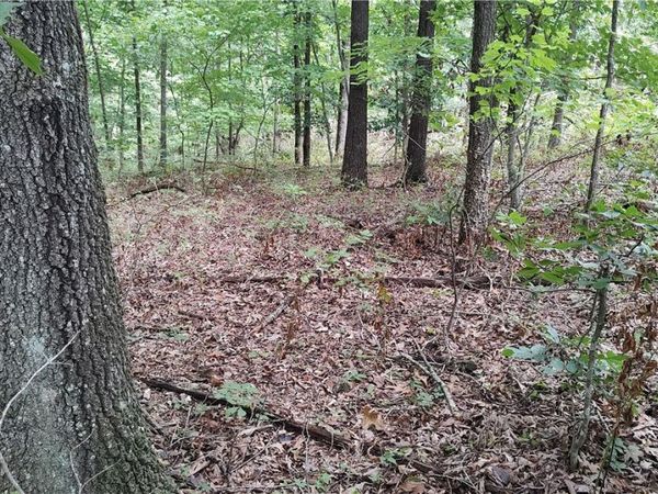 Tummell Drive, Bella Vista, AR 72715