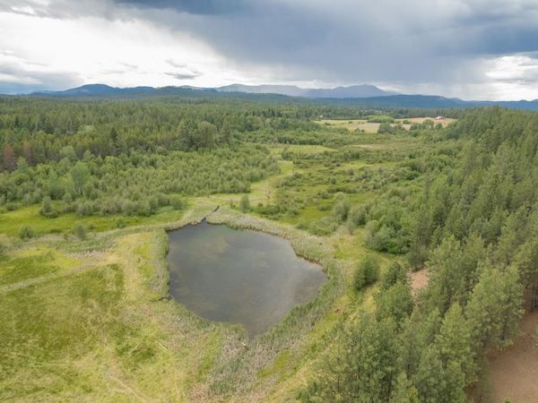 4110 Cemetery Rd, Springdale, WA 99137