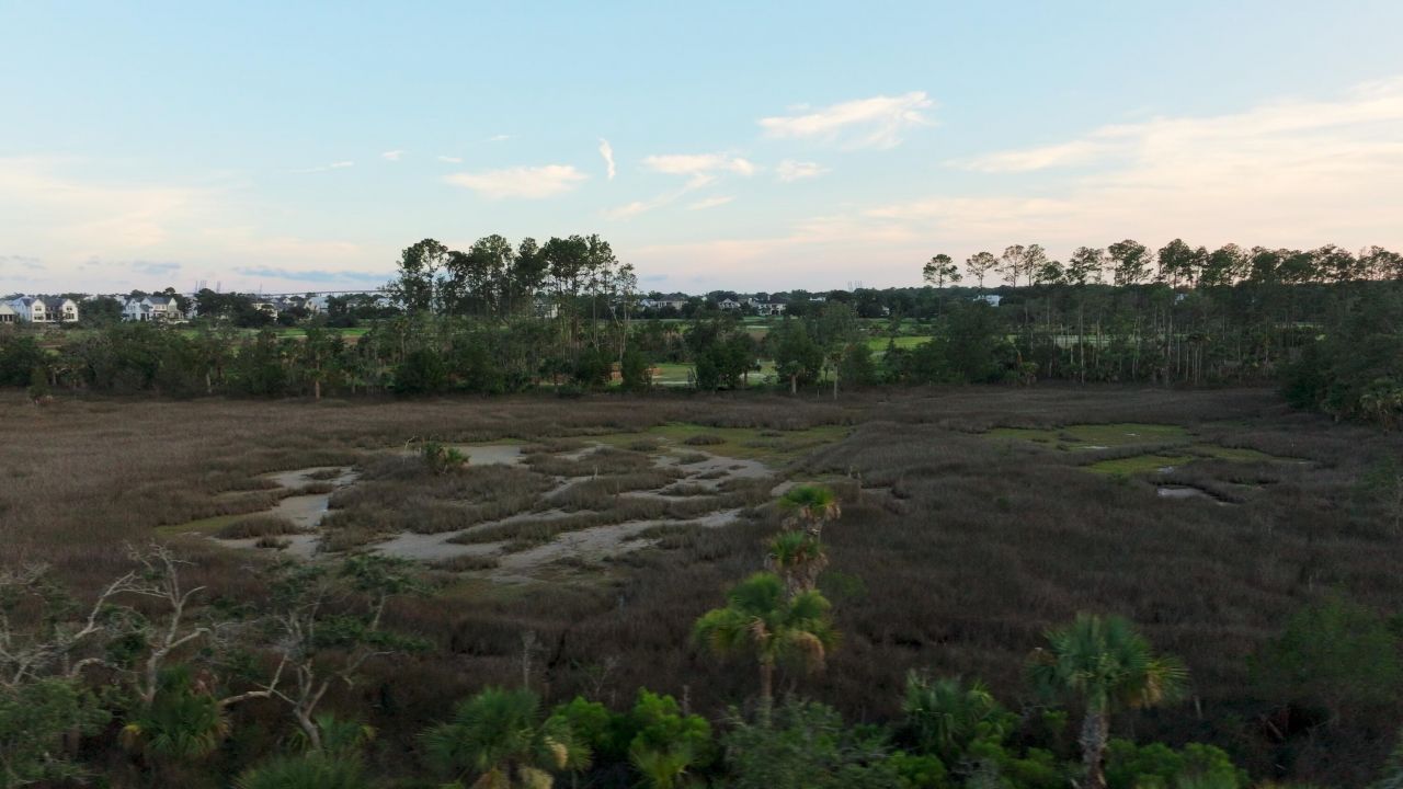 1109 Ship Builder Street Photo 2