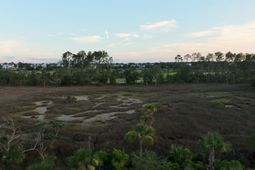 1109 Ship Builder Street photo 4