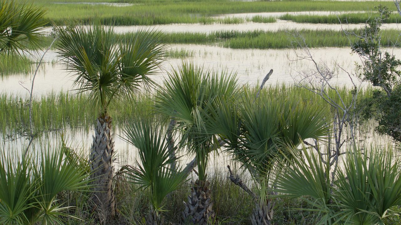 1109 Ship Builder Street Photo 3