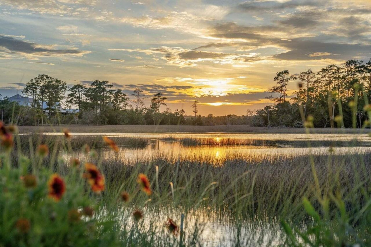 1109 Ship Builder Street Photo 4