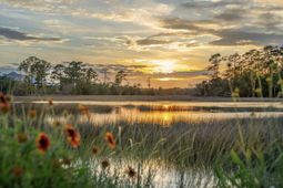 1109 Ship Builder Street photo 4