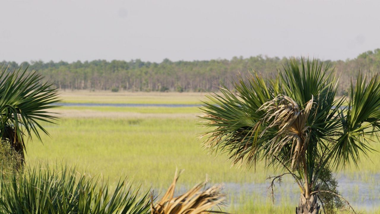 1109 Ship Builder Street Photo 7