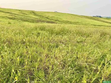 12168 S 227th Street, Gretna, NE 68028