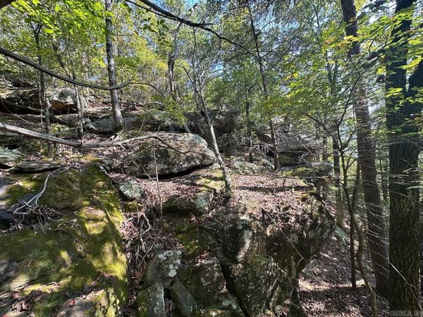 000 Gassaway, Searcy, AR 72143