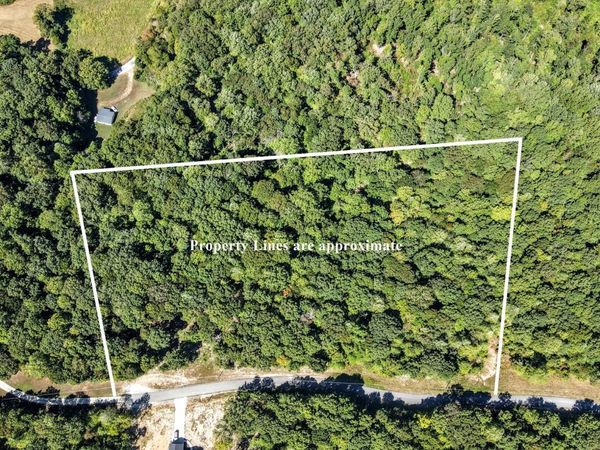 0 Mayne Trace Rd, Waverly, TN 37185