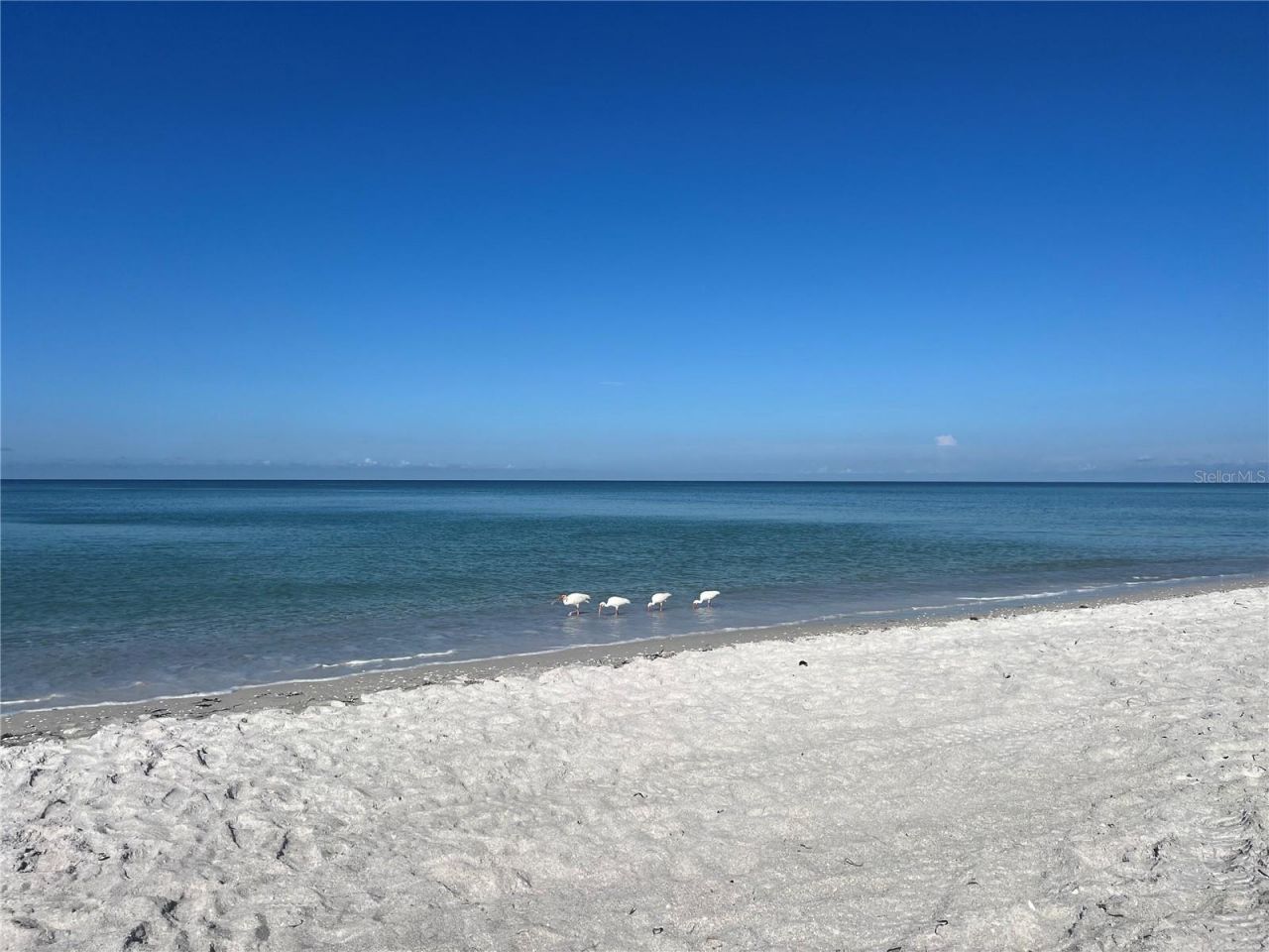 2425 Gulf Of Mexico Drive, Unit 11F, Longboat Key, FL 34228 Photo