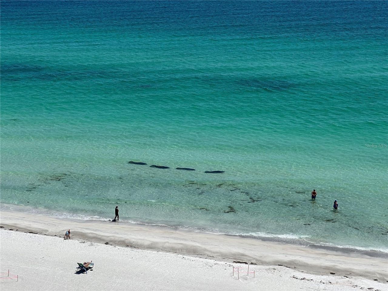 2425 Gulf Of Mexico Drive, Unit 11F, Longboat Key, FL 34228 Photo