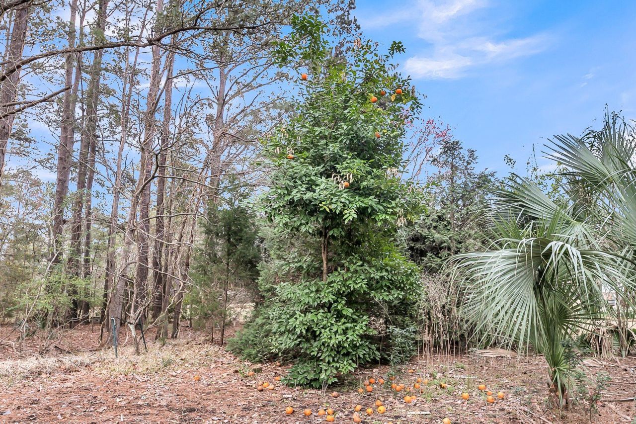 2224 Shoreline Drive Photo 50