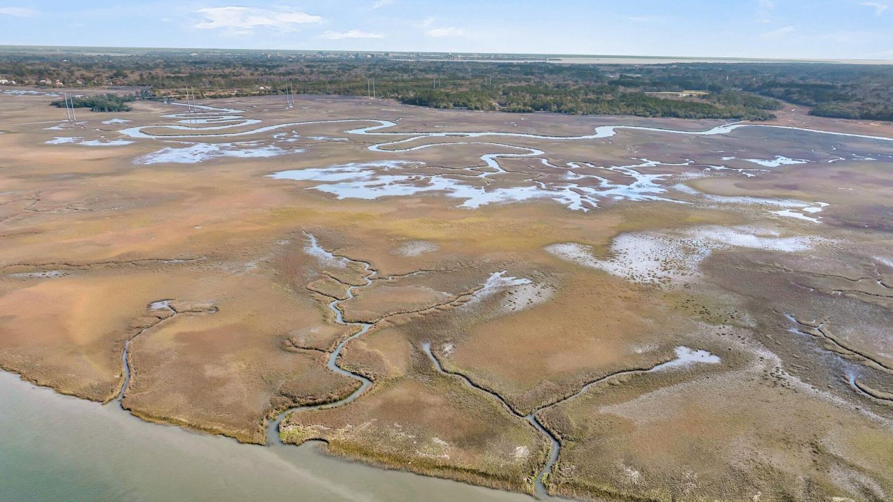 2224 Shoreline Drive Photo 60