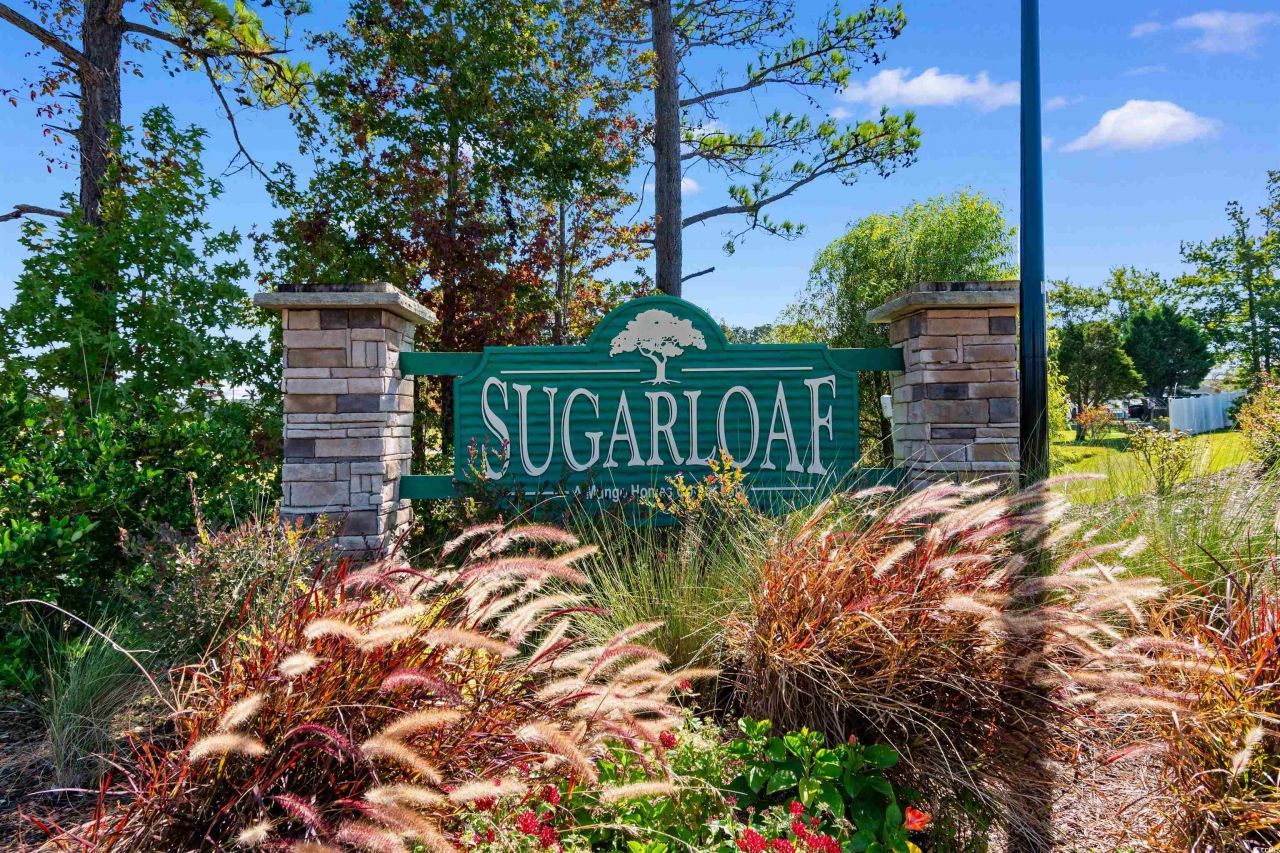 430 Stevia Ct. Photo 40