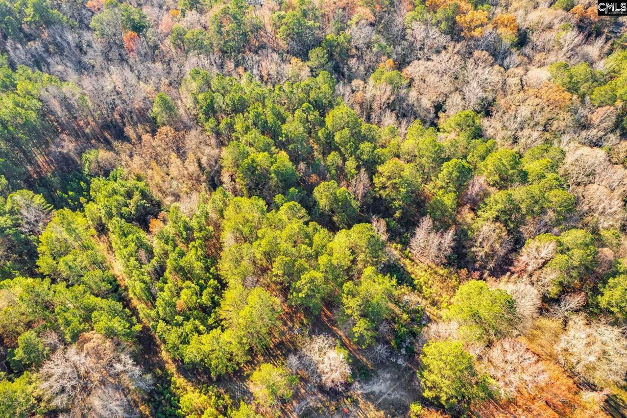 1089 Chestnut Hill Road  Photo 11