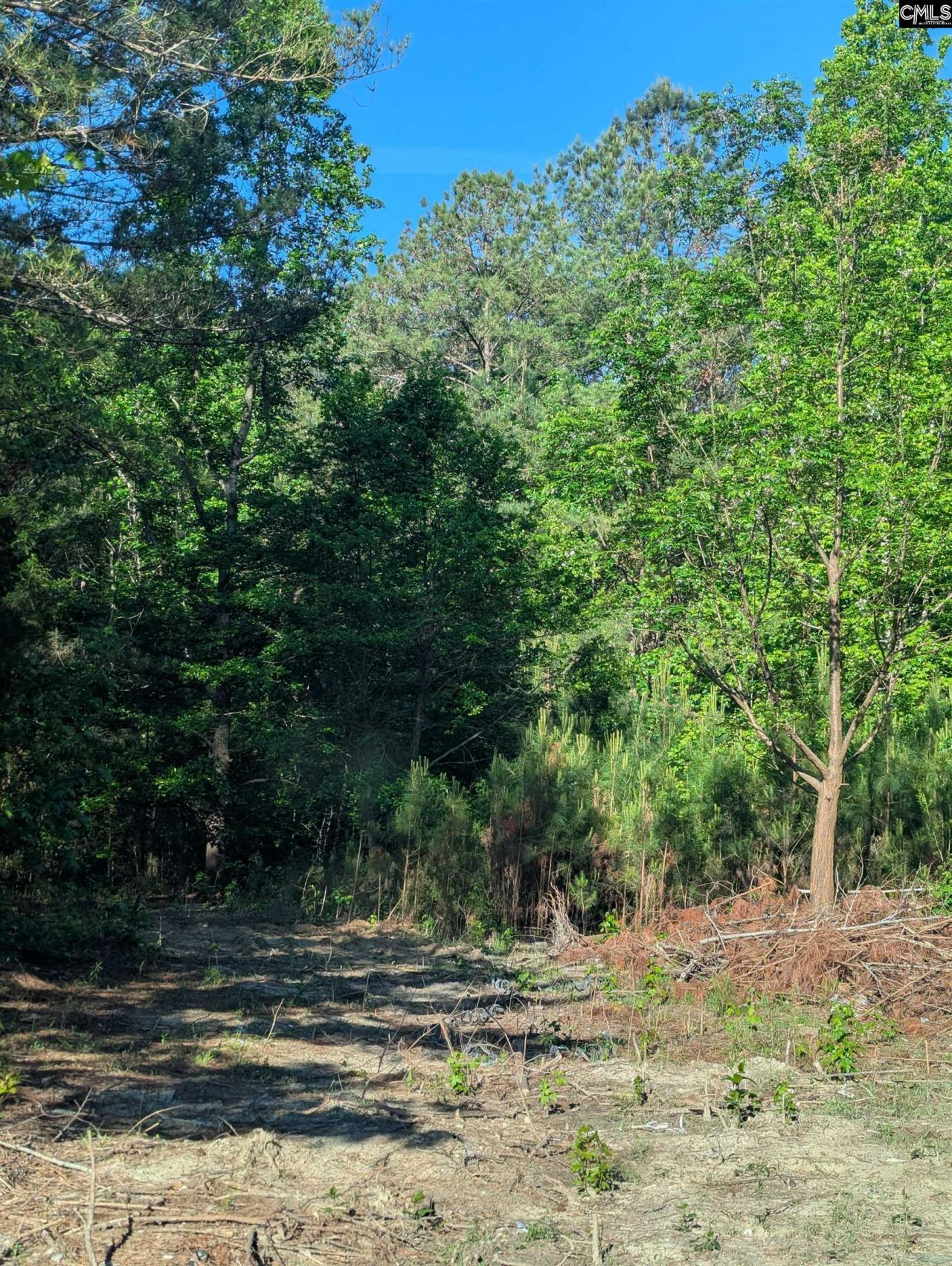 1089 Chestnut Hill Road Photo 16