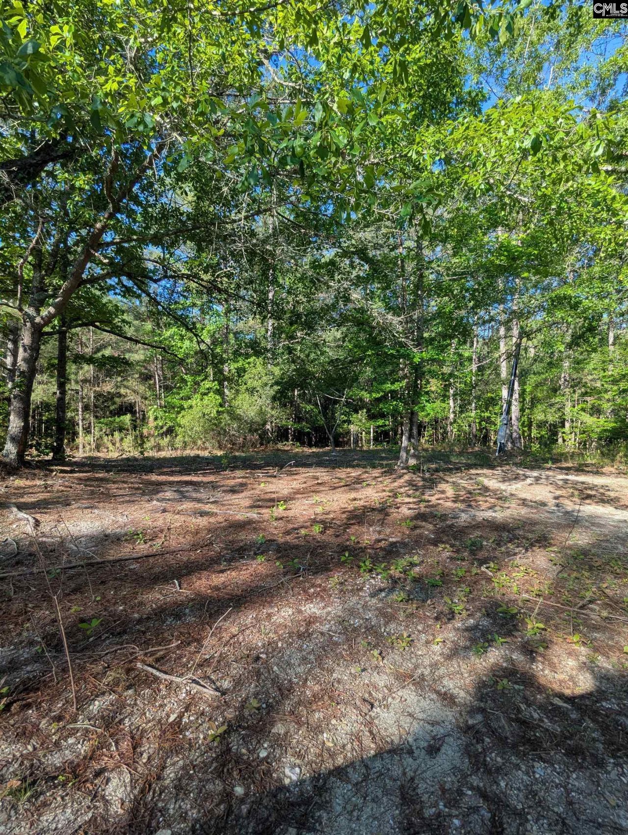 1089 Chestnut Hill Road Photo 17