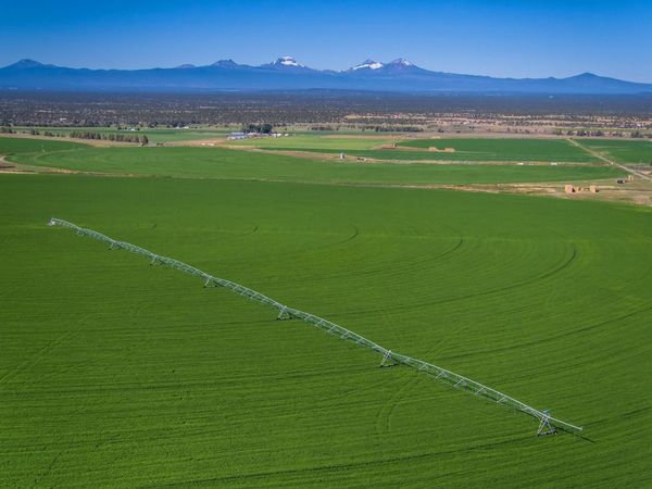 11705 SW Shumway Road, Powell Butte, OR 97753