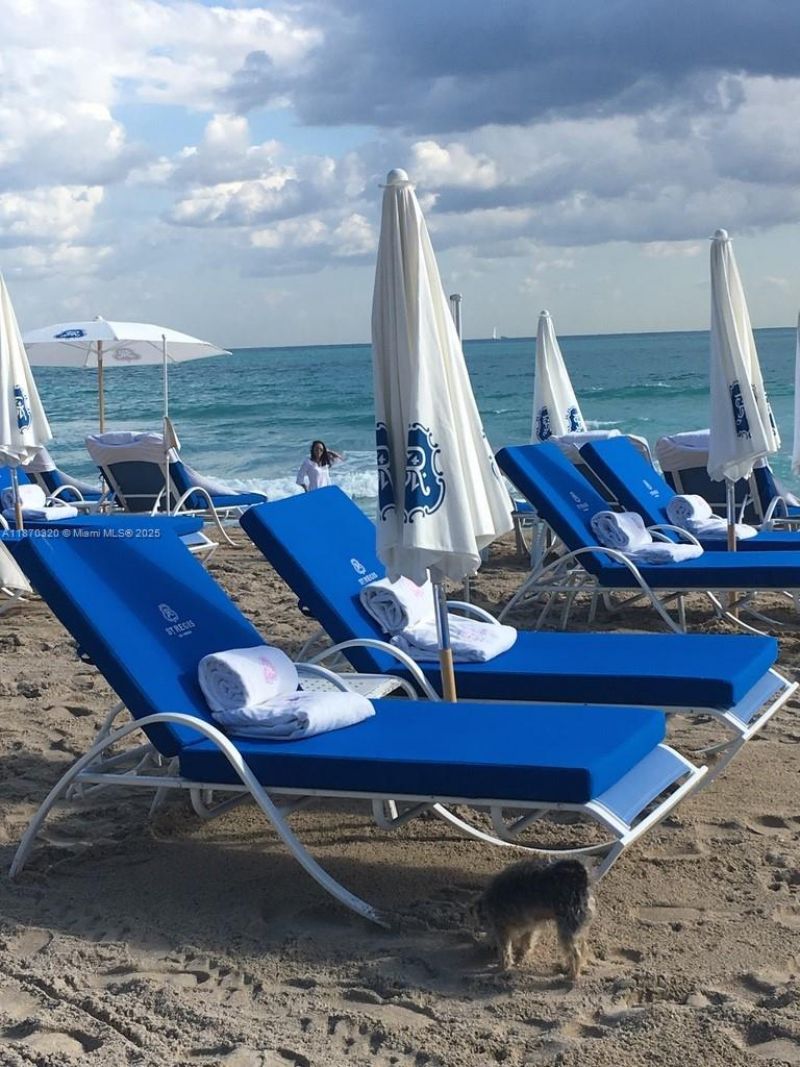 9705 Collins Ave, Unit 1104N, Bal Harbour, FL 33154 Photo