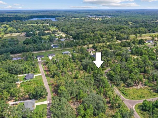 0024 GUAVA PASS DRIVE, OCKLAWAHA, FL 32179