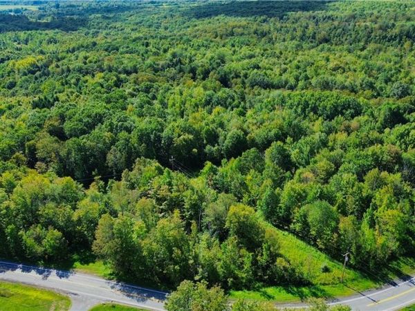 Lot 5-5 Paines Hollow Road, Mohawk, NY 13407