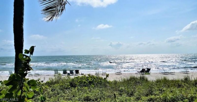 3611 Wild Pines Dr, Unit 202, Bonita Springs, FL 34134 Photo