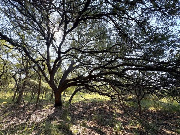 TBD Lot 3 Sandy Mountain, Sunrise Beach, TX 78643