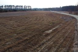 149 Rambling Ln photo 4