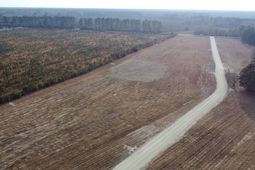 149 Rambling Ln photo 4