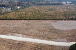 149 Rambling Ln photo 4